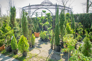 Fleurs, légumes et pépinière chez Sodiplante Jardinerie à Haudainville Verdun