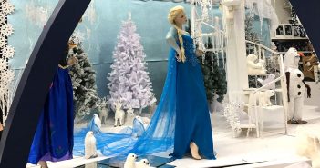 La Reine des Neiges brick