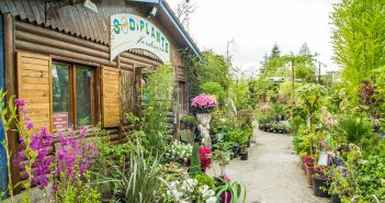 Sodiplante à Verdun en Meuse