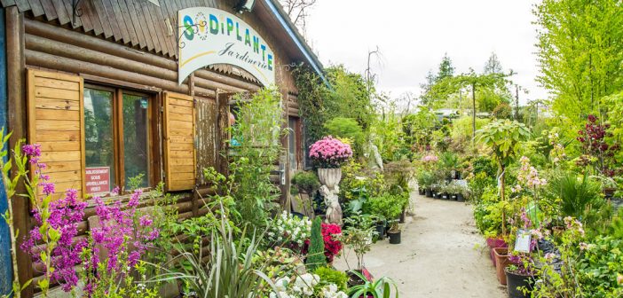 Sodiplante à Verdun en Meuse