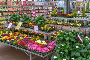 Jardinerie Lombard Verdun