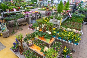 Jardinerie Lombard Verdun
