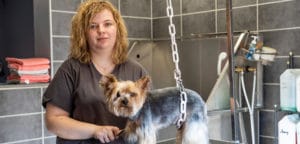 Pattes de Velours, toiletteur belleville sur meuse