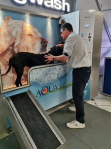 Laver son chien à Verdun