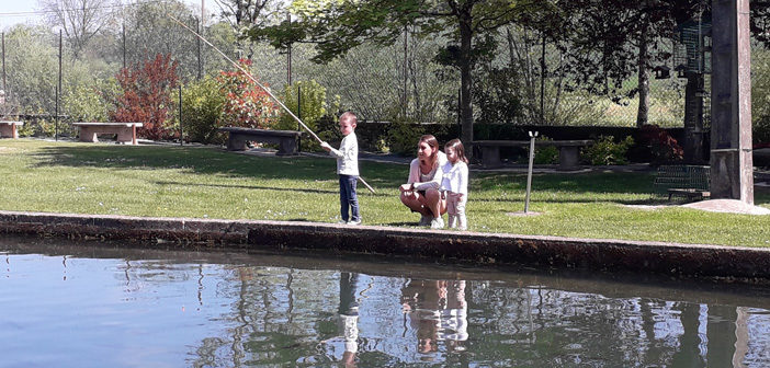 Pêche à la truite en Meuse