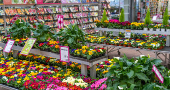 plantation à Verdun avec la jardinerie Lombard