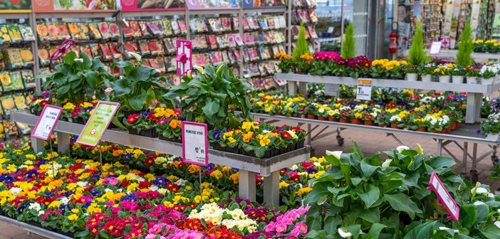 plantation à Verdun avec la jardinerie Lombard