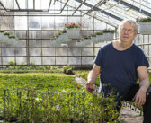 Eden Flor fait perdurer la tradition de la culture artisanale depuis 1947
