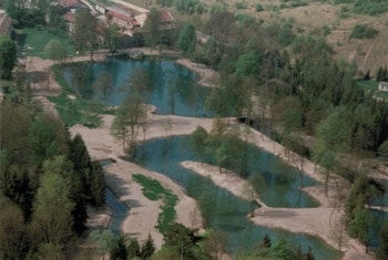 Domaine de Sommedieue en 1992
