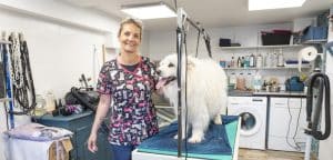 Toiletteur chiens et chats à Saint-Mihiel en Meuse