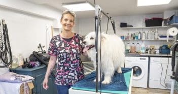 Toiletteur chiens et chats à Saint-Mihiel en Meuse