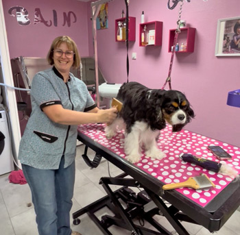 Service toilettage chiens et chats Verdun