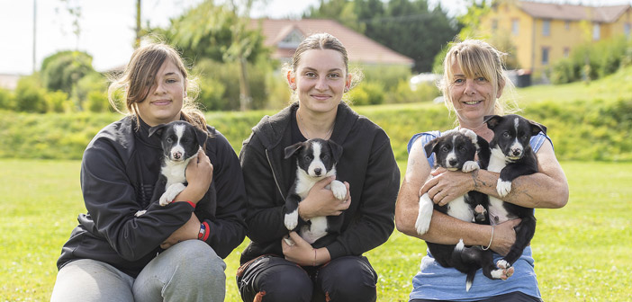 Le Village Canin des 4 Pattes, l’art d’élever avec passion et bienveillance
